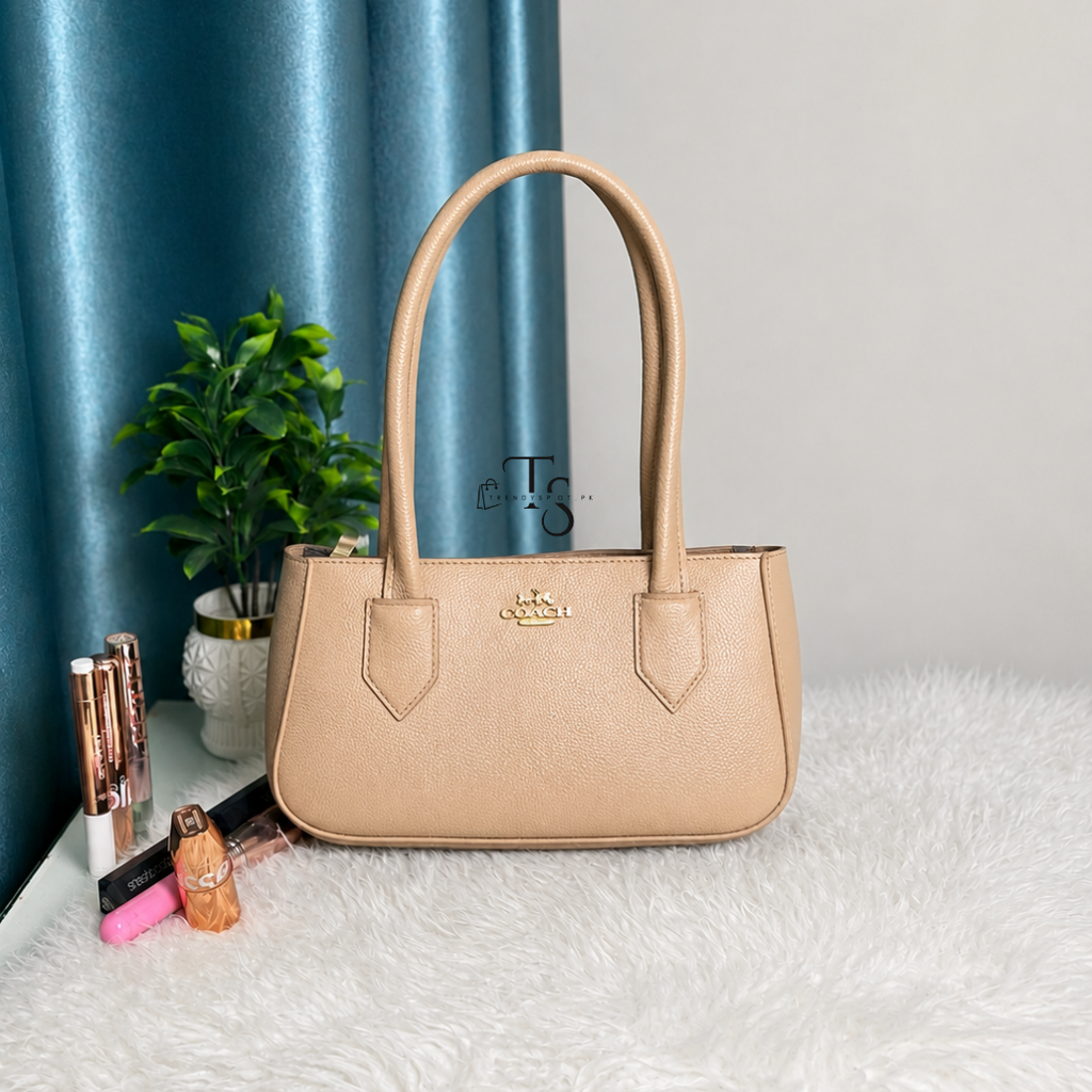 PREMIUM COACH SKIN SHOULDER BAG - Trendyspot.pk